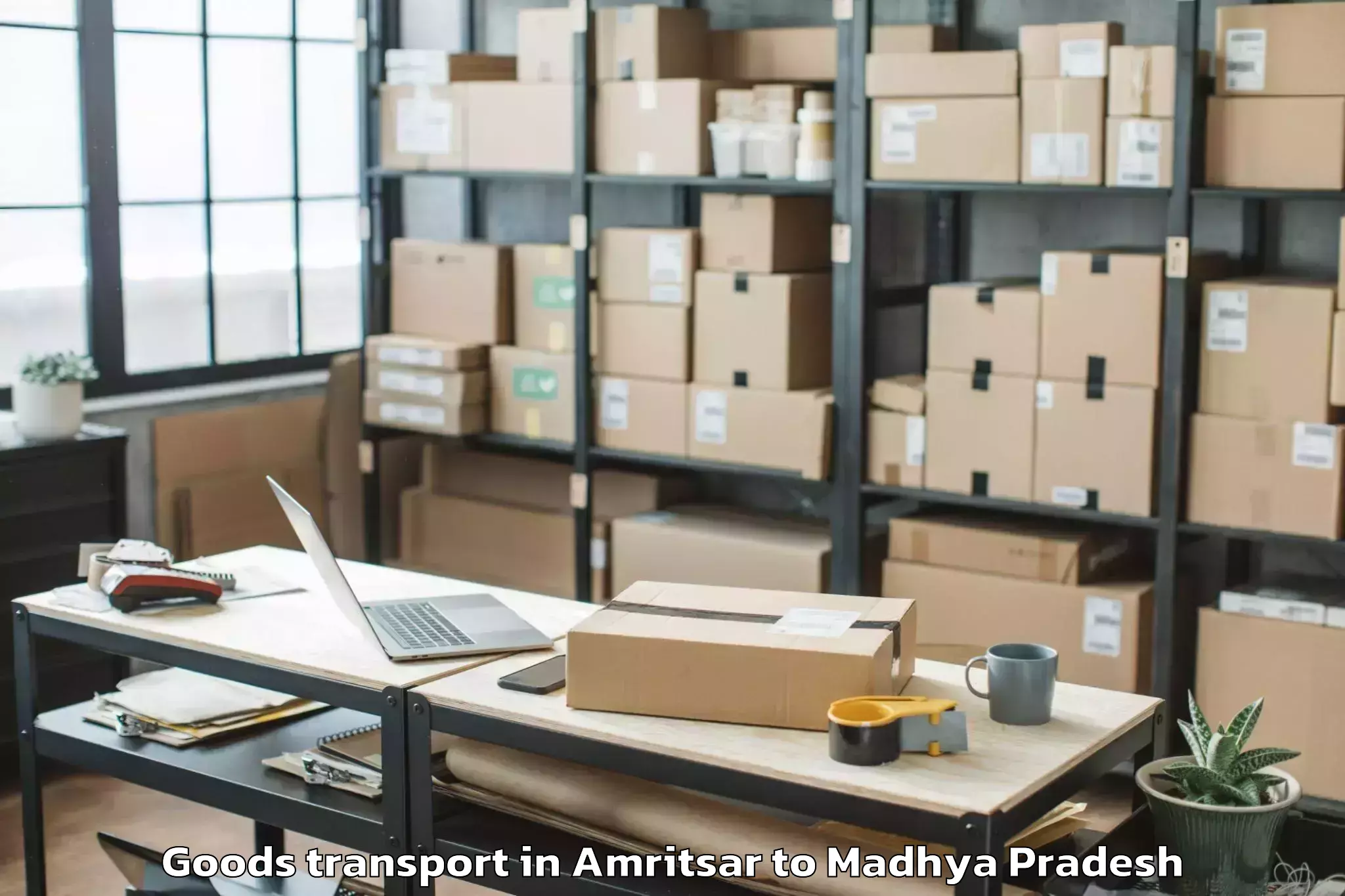 Book Amritsar to Nasrullaganj Goods Transport Online